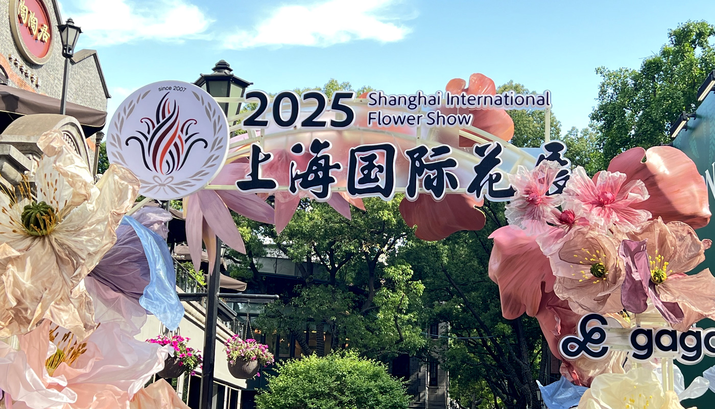 国际花展100.jpg