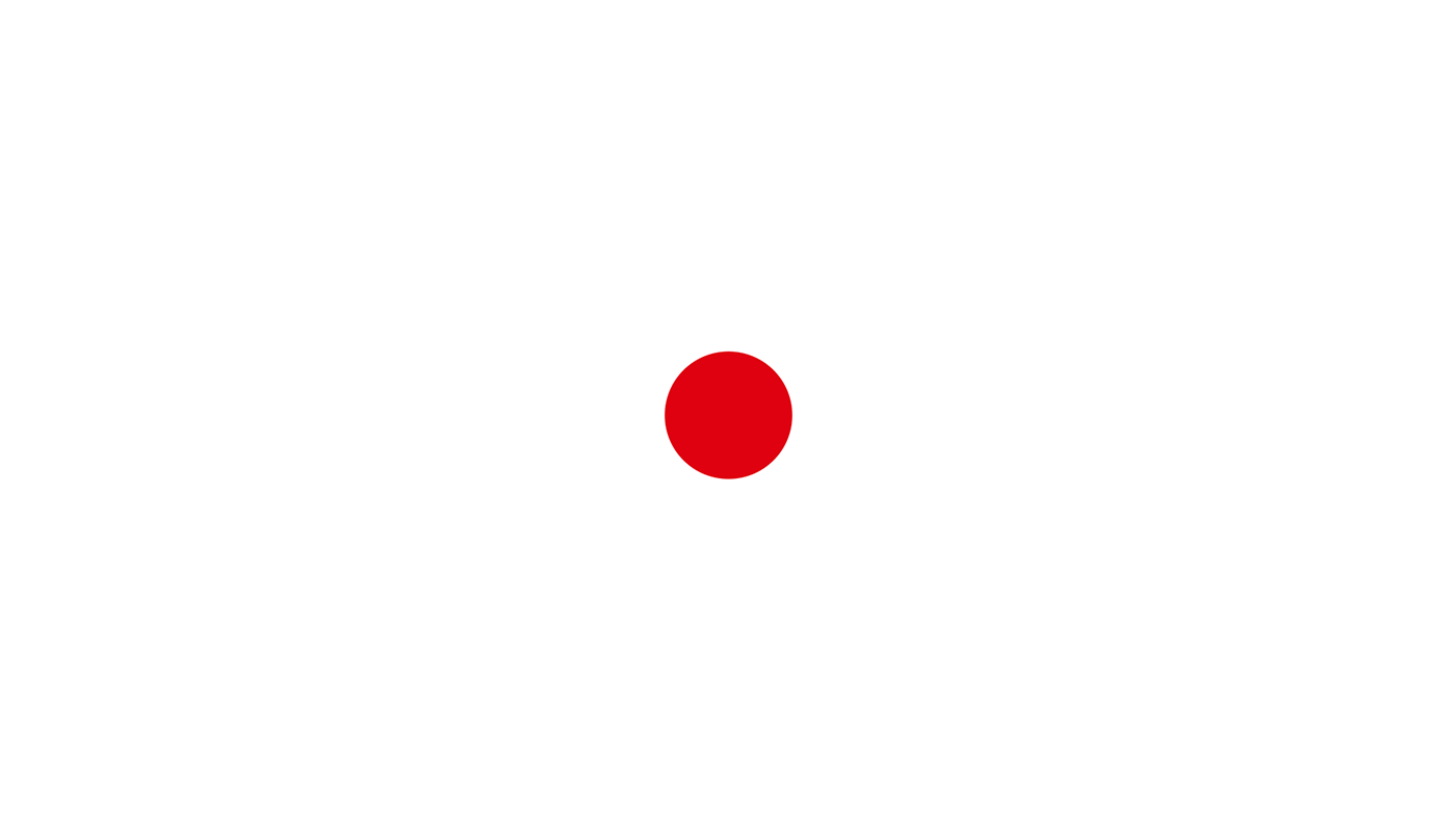 晓婷logo动画-新.gif