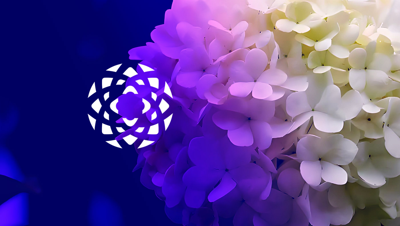 200245311974.jpg 22.jpg